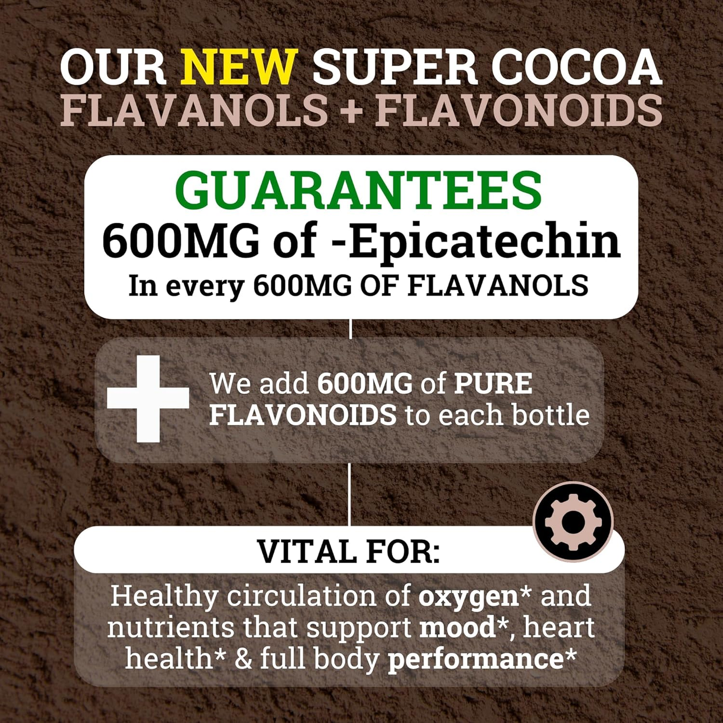 Cocoa 10X Flavanol Energy Blend